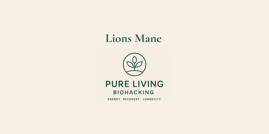 Why Lion’s Mane Is Often the Mushroom People Feel the Most