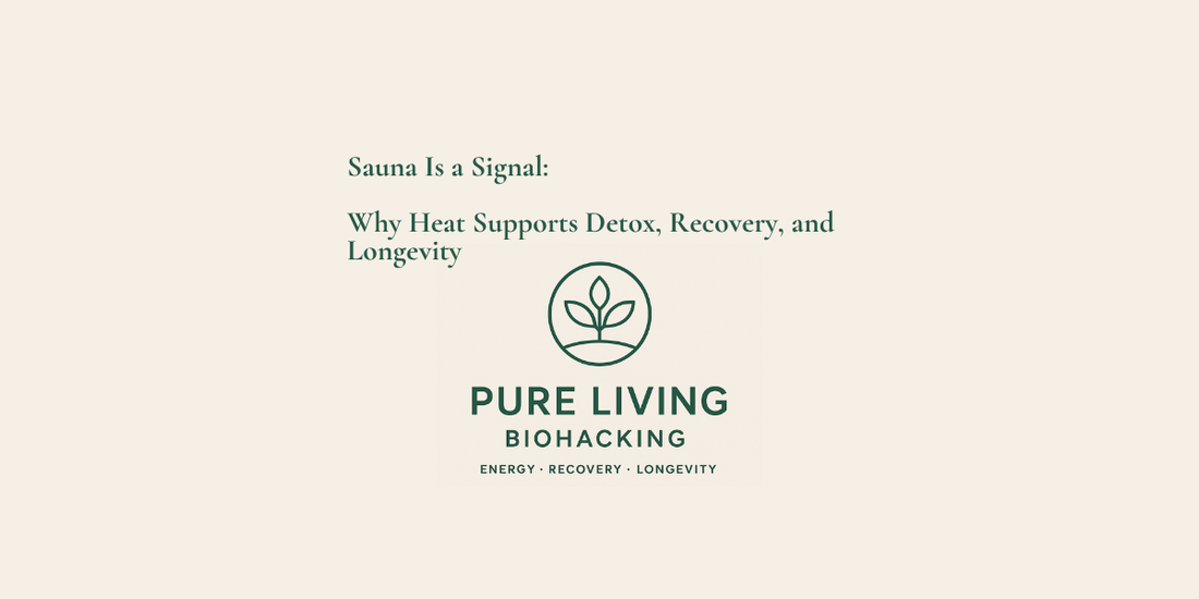 Sauna Is a Signal: Why Heat Supports Detox, Recovery, and Longevity