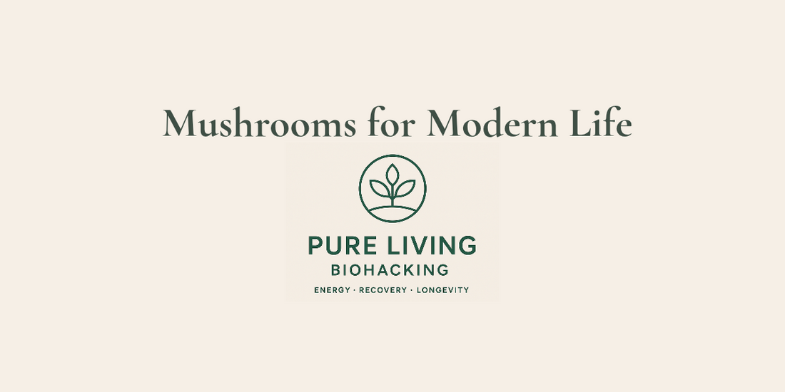 Mushrooms for Modern Life: Why We’re Drawn to Them